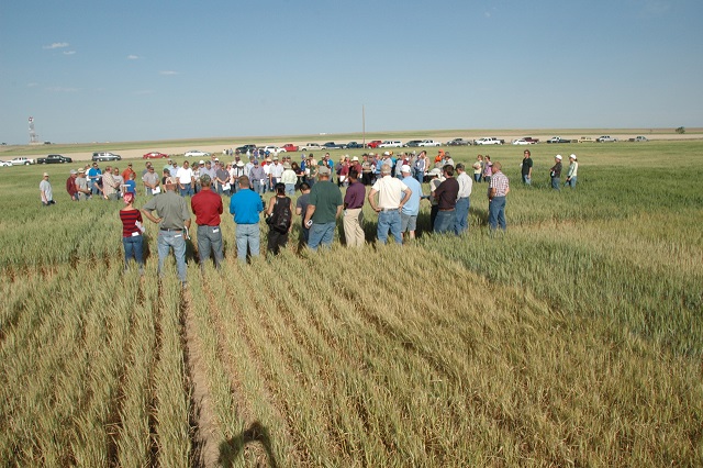 The crew in field